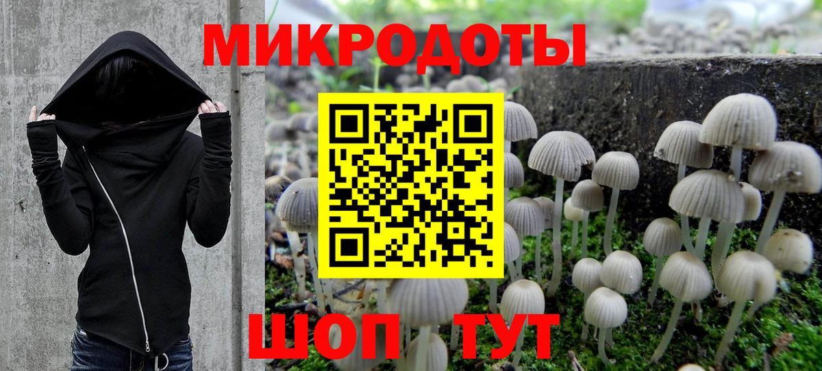 Галлюциногенные грибы мухоморы Кохма